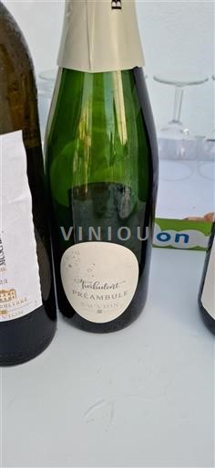 Valle della Loira Non specificato Sauvion Turbulent Préambule Senza annata