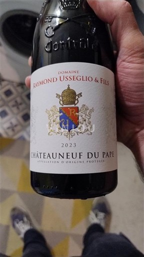 Thung lũng Rhône Châteauneuf-du-pape Domaine Raymond Usseglio & Fils 2023