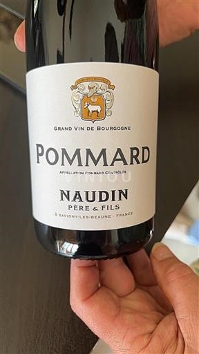Burgund Pommard Naudin Père & Fils 2023
