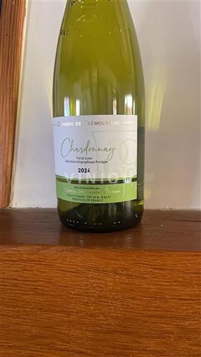 Dolina Loare Domaine Trémousseau 2024