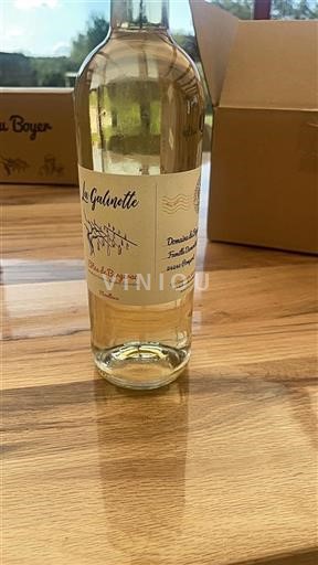 Lounais-Ranska Côtes-de-bergerac Domaine Boyer La Galinotte 2022