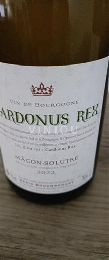 Bourgogne Mâcon och Mâcon-Villages Cardonus Rex 2022