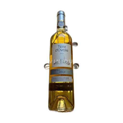 Sydväst Gaillac Terre Ovalie 2021