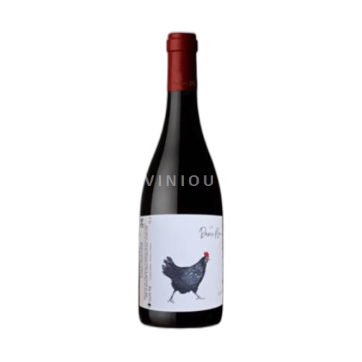 Loire Valley Touraine Clos du Porteau Dame Noire 2022