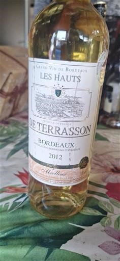 Bordeaux Les Hauts de Terrasson 2012