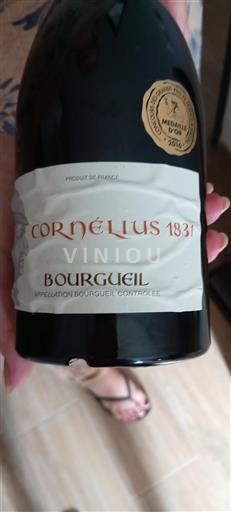 Valle del Loira Bourgueil Cornélius 1831 Sin añada