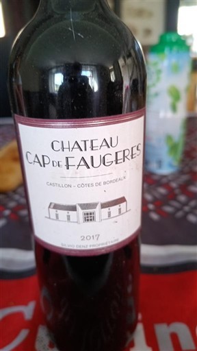 Bordeaux Castillon-côtes-de-bordeaux Château Cap de Faugères 2017