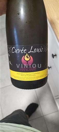 Dolina Loare Saumur Domaine La Girarderie Louis 2021