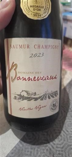 Údolí Loiry Saumur-Champigny Domaine Des Bonneveaux Vieilles Vignes 2023