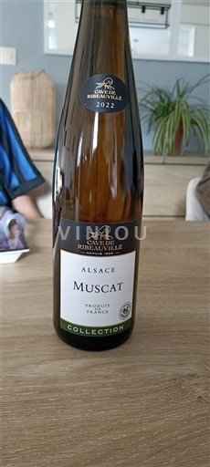 Alsácia Cave de Ribeauvillé Collection 2022