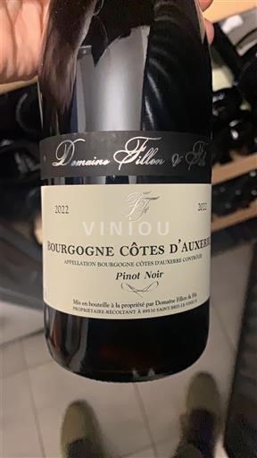 Bourgogne Bourgogne Côtes d'Auxerre Domaine Fillon & Fils 2022