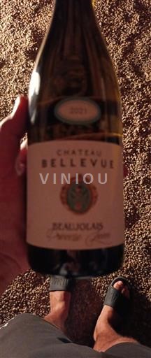 Vin Rouge sec Château Bellevue 2021 France Beaujolais AOC
