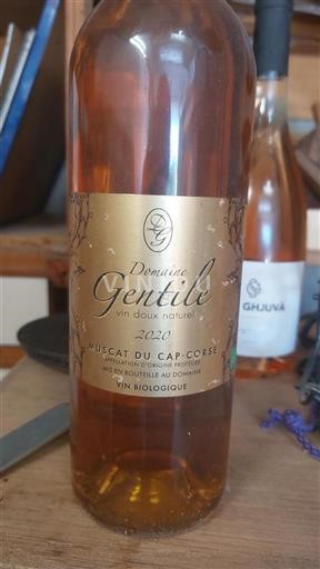Korsika Muscat du Cap Corse Domaine Gentile Vin Doux Naturel 2020