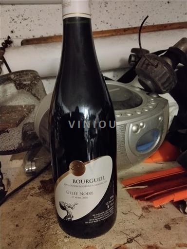 Valle del Loira Bourgueil Gelée Noire 2016