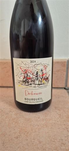 Valle del Loira Bourgueil Lamé Delisle Boucard Déchaînée 2024