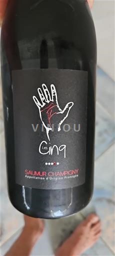 Valle del Loira Saumur-Champigny Les Cinq Sin añada