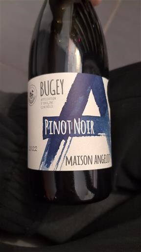 Saboya y Bugey Bugey Maison Angelot Pinot Noir 2022