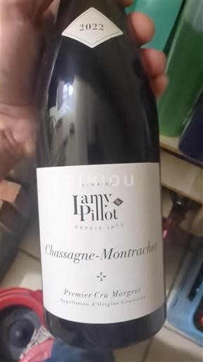 Bourgogne Chassagne-Montrachet Premier Cru Domaine Lamy-Pillot 2022