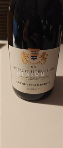 Bourgogne Gevrey-chambertin Thibault Liger-Belair En Créot 2022