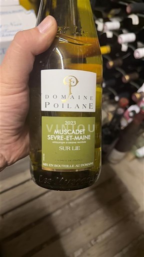 Loire Valley Muscadet Sèvre et Maine Domaine Poilane 2023
