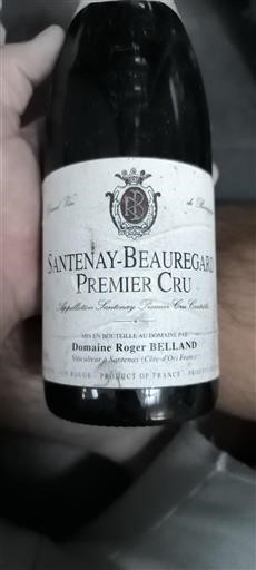 Borgoña Santenay Premier Cru Domaine Roger Belland 2010