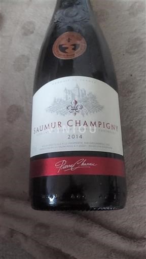 Valle del Loira Saumur-Champigny Groupement des Producteurs du Saumurois 2014