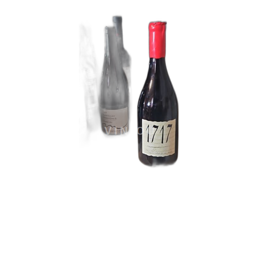 Rhônedalen Vacqueyras Arnoux et Fils 1717 2019