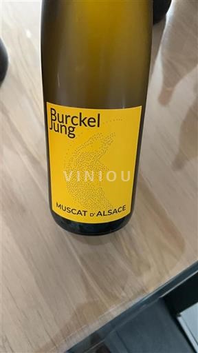 Alsazia Non specificato Burckel Jung 2022