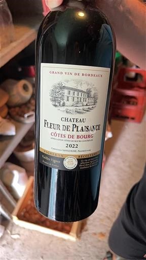 Bordéus Côtes-de-bourg Château Fleur de Plaisance 2022