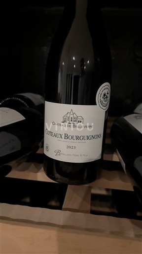 Bourgondië Bourgondische heuvels Château de Belleverne 2023