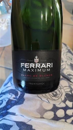 Trentin-Haut-Adige Ferrari Maximum Blanc de Blancs 2020