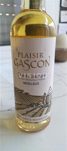 Sud-Ovest Côtes de Gascogne Plaisir Gascon Senza annata