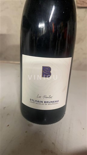 Loirevallei Saint-Nicolas-De-Bourgueil Sylvain Bruneau Les Pentes 2023