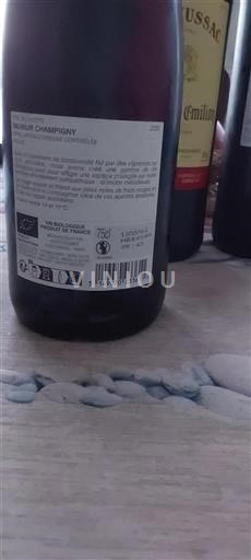 Valle del Loira Saumur-Champigny Efil de Linotte 2020