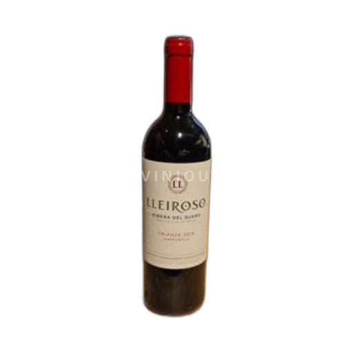 Castilien og León Ribera del Duero Bodegas Lleiroso Crianza 2019