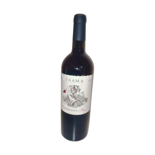 Vin Rouge sec Carmenere Piu Inama 2019 Italie Vénétie IGT