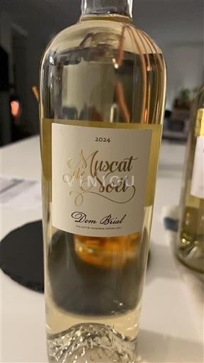Roussillon Muscat de Rivesaltes Dom Brial Muscat de Noël 2024