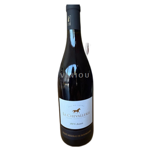 Valle della Loira Saint-Nicolas-De-Bourgueil La Chevallerie 2024
