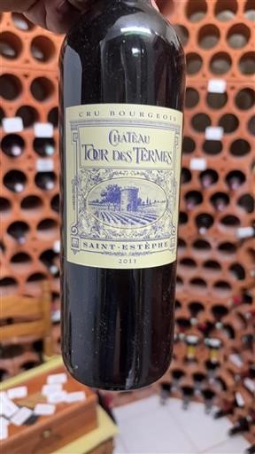 Vin Rouge sec Château Tour des Termes 2011 France Bordeaux Saint-Estèphe AOC Cru Bourgeois
