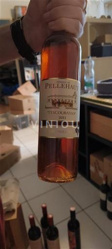 Südwestfrankreich Côtes de Gascogne Domaine Pellehaut L'Escoubasso 2011