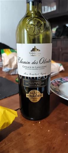 Languedoc Languedoc-ylängöt Cave de Roquebrun Chemin des Olivettes 2024