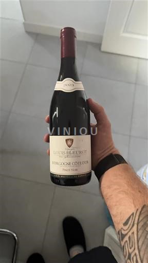 Borgoña Borgoña Côte d'Or Louis Fleurot 2023