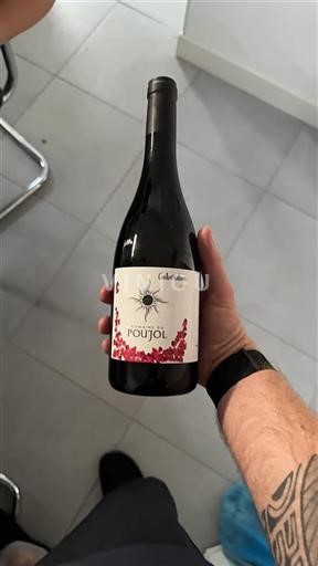Languedoc Không được chỉ định Domaine Poujol Cuberdon 2019