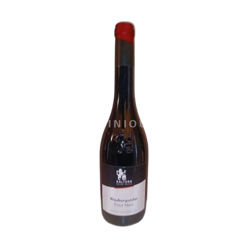 Trentino-Alto Adige Không được chỉ định Kellerei Kaltern Blauburgunder Pinot Nero 2021