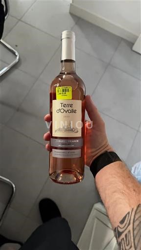 Sydväst Gaillac Terre Ovalie 2023