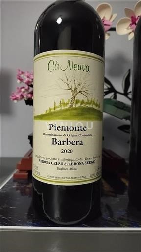 Piëmont Niet gespecificeerd Cà Neuva 2020
