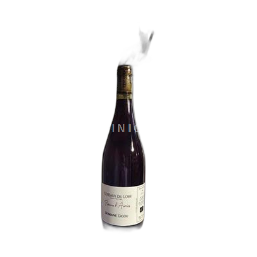 Valle della Loira Coteaux-du-loir Domaine Gigou Pineau d'Aunis 2023