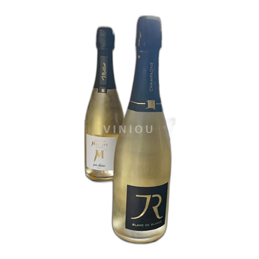Vin Effervescent Blanc brut Blanc de blancs Richardot Non millésimé France Champagne AOC