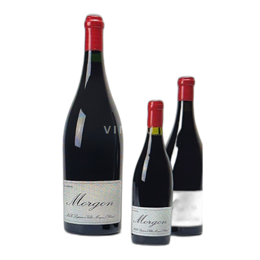 Beaujolais Morgon Domaine Marcel Lapierre 2021