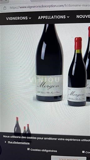 Beaujolais Morgon Domaine Marcel Lapierre 2021